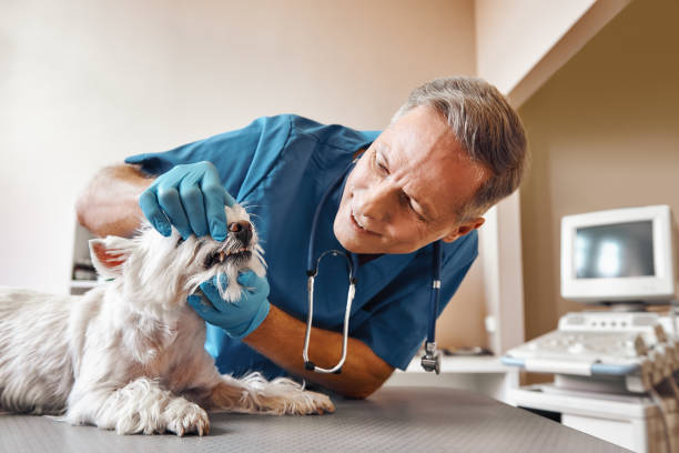 Best Emergency Tooth Extraction in Umatilla, OR